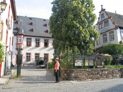 IMG_2910